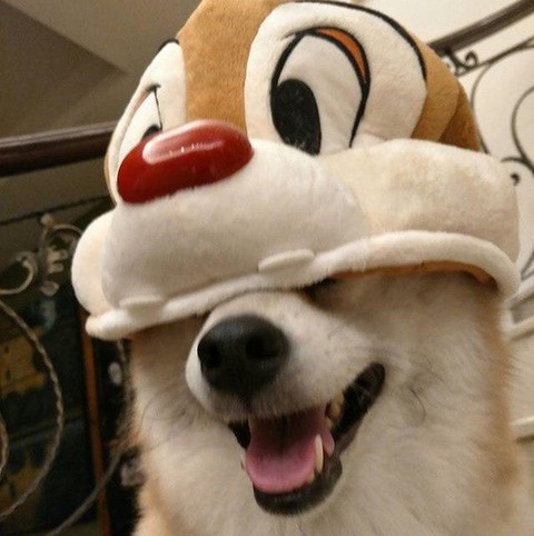 Хлебушки как смысл жизни