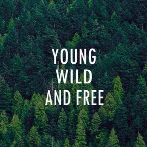 А губа не дура