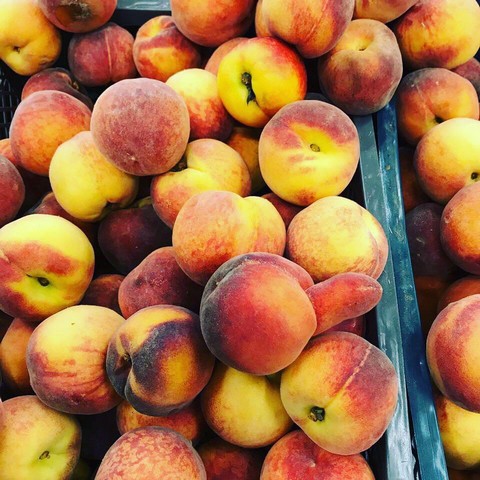 Гусь Желает 