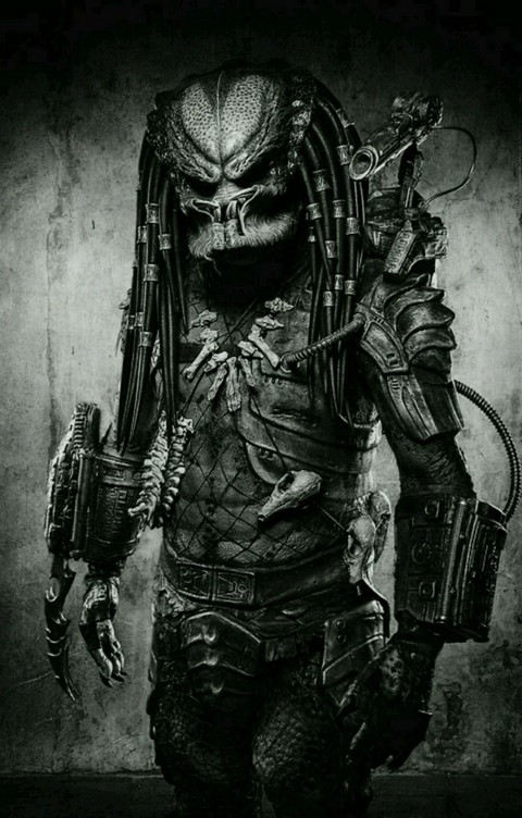 Видео приколы, общение, анекдоты