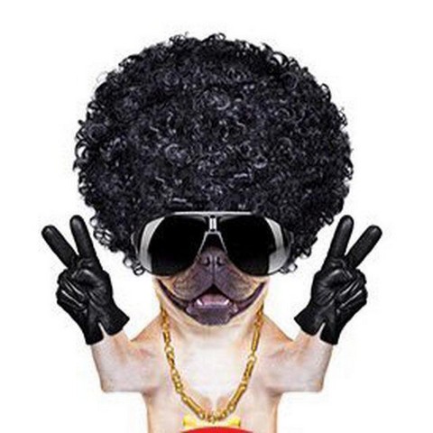 SMMblogs - чат Instagram