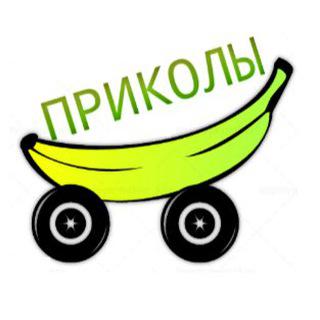 ПРИКОЛЫ