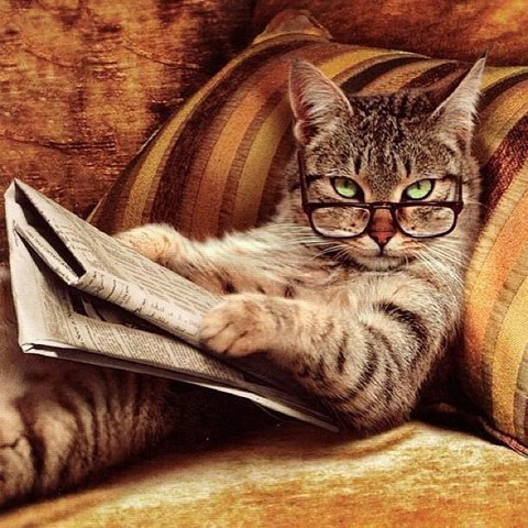 Прикольные животные