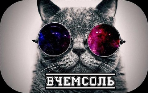 ВЧемСоль