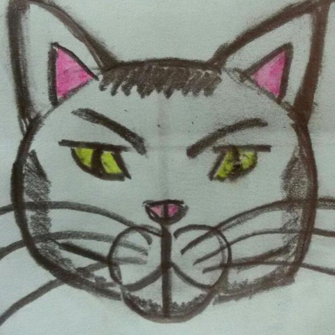 Злой МедиаКиттик