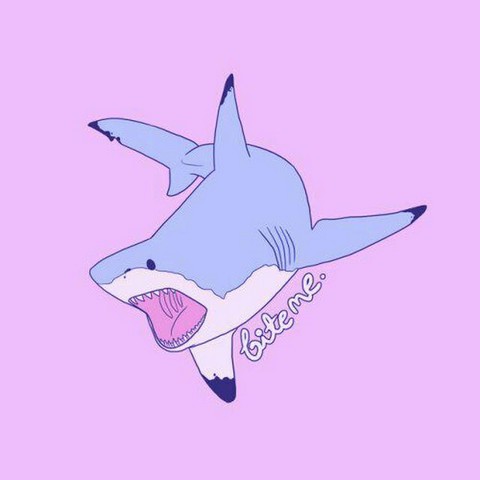 Авторский канал "Lавандовая акула"