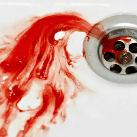 Дневник психопата