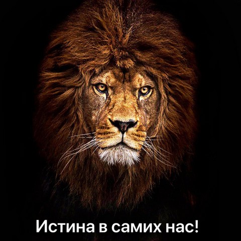 Истории жизни.