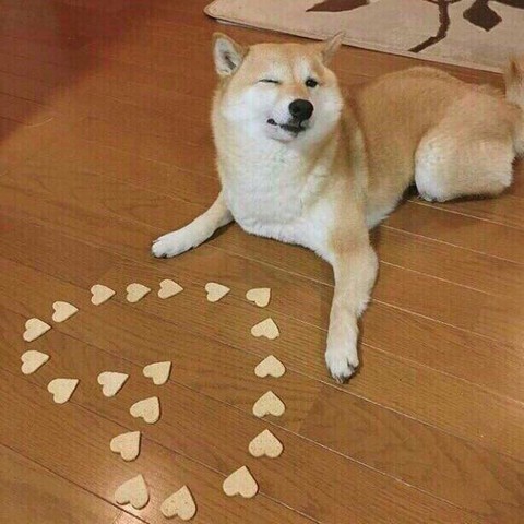 Катя хочет похудеть