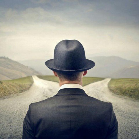 Развилка жизни