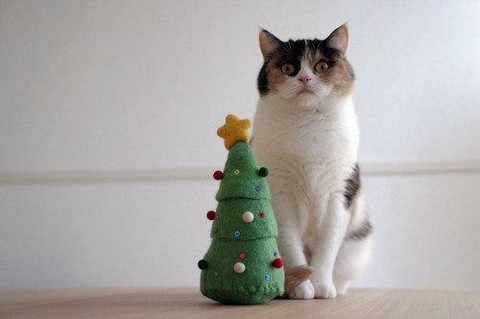 Канал про СММ и рекламу