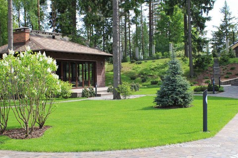 Ландшафтный дизайн