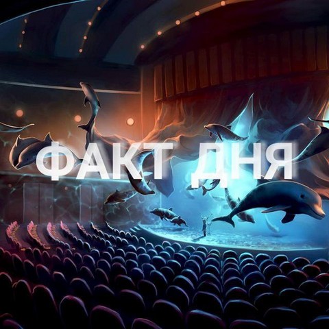 Факт дня