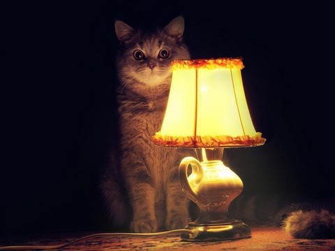 Время потрясающих историй