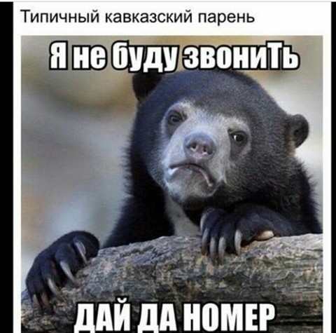 Группа дагестан