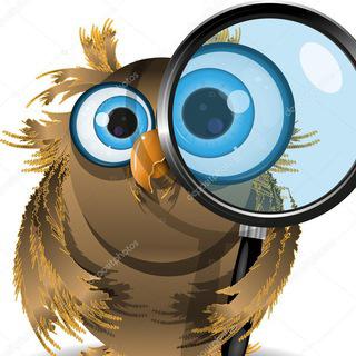 Заметки совы