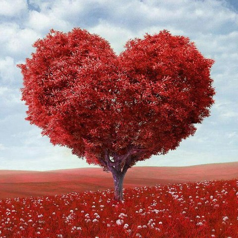 Я тебя люблю