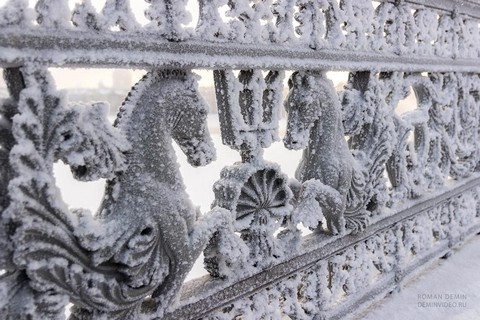 St.-Petersburg photo