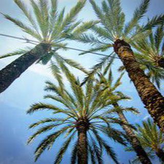 ПУТЕШЕСТВУЙ ДЕШЕВО