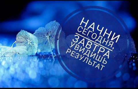 ЕДИНЫЙ ГОСТЕВОЙ