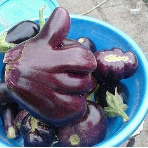 Приколы на всегда!