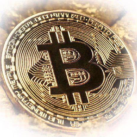 Гильдия криптоинвесторов