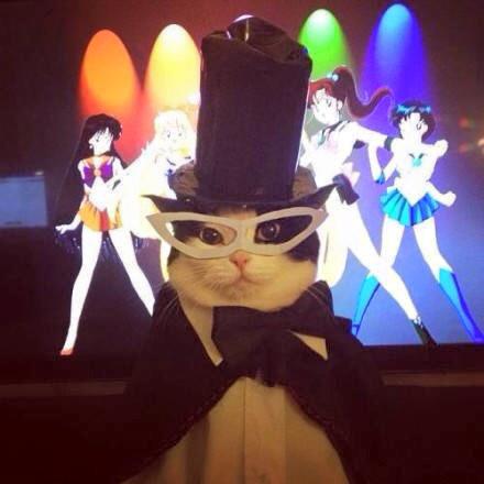 Социализируемся вместе!