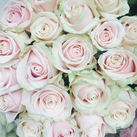 Свободный Оренбург