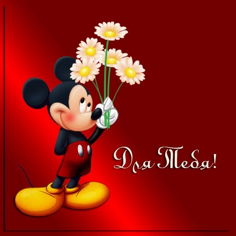 Поздравления, цитаты