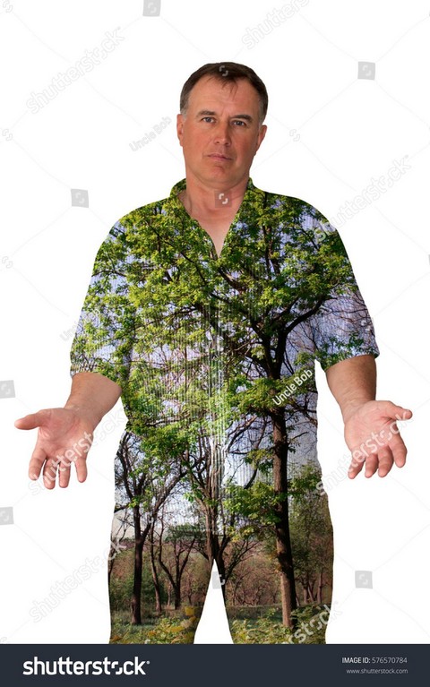 Фотосток заболел